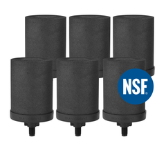 Filtros de carbón ionizado activado premium 2X para filtros de agua por gravedad. También compatibles con Berkey BB9 y otros filtros de marca.
